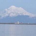 PNW Road Trip: Camp, Hike and Walk the Beach at Dungeness Spit