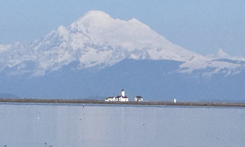 Dungeness Spit Stop on the Olympic Peninsula Loop Road Trip