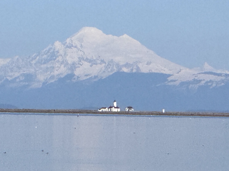 PNW Road Trip: Camp, Hike and Walk the Beach at Dungeness Spit