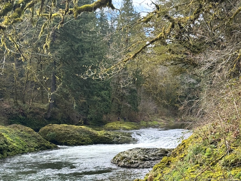 olympic peninsula road trips
