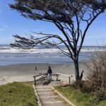 Olympic Peninsula Road Trip in One Day