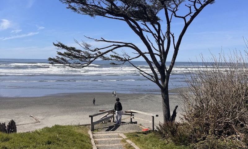 Olympic Peninsula Road Trip in One Day