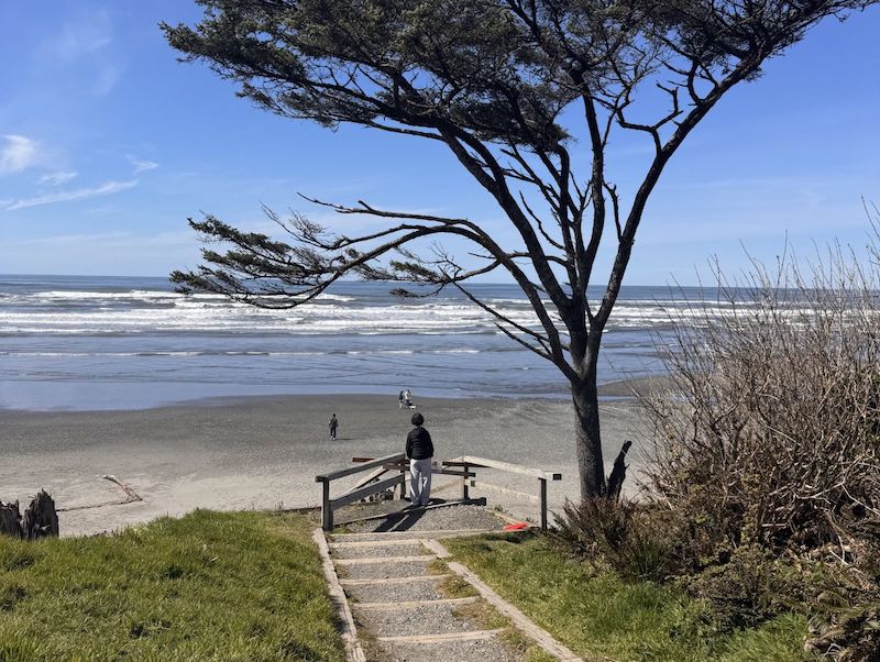 Olympic Peninsula Road Trip in One Day