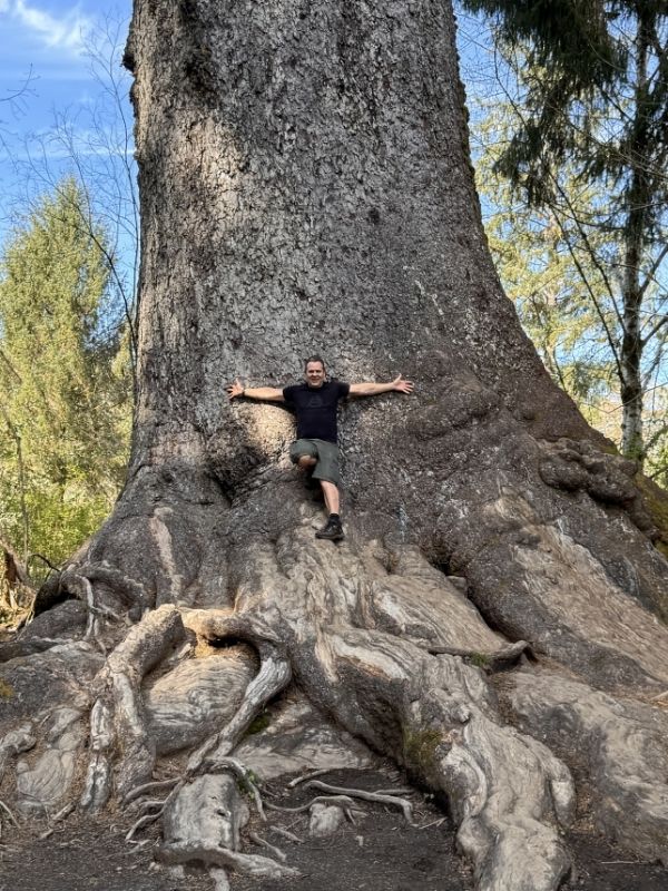 Olympic Peninsula Road Trip in One Day - Lake Quinault